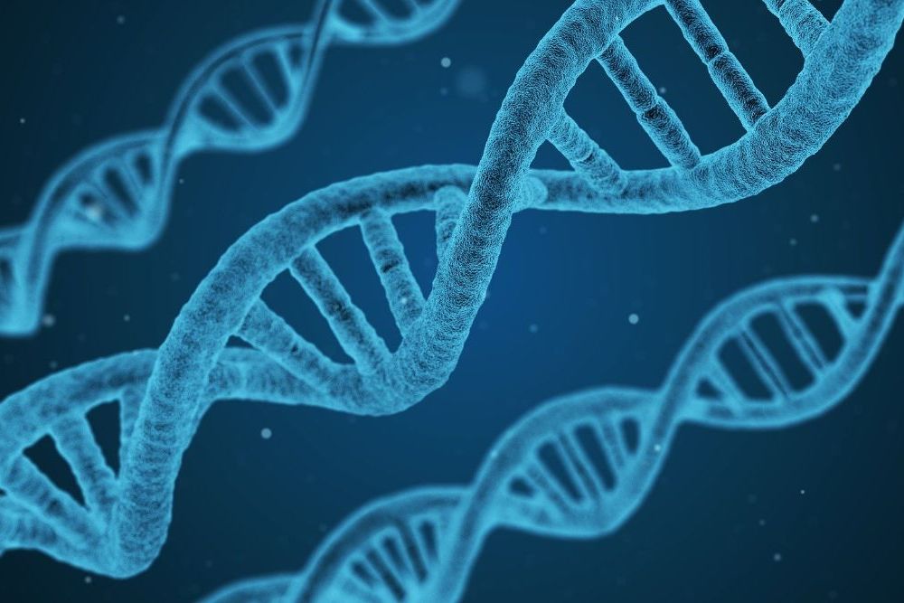 Hoe kan ik meer te weten komen over DNA
